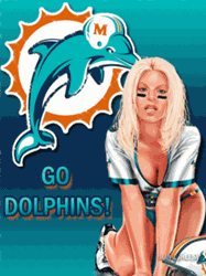 pic for go dolphins